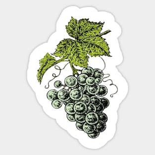 Grapes artwork Sticker